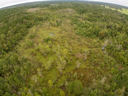 333 Acres | Glass Ranch