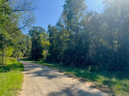 1.63 Acres | Love Drive