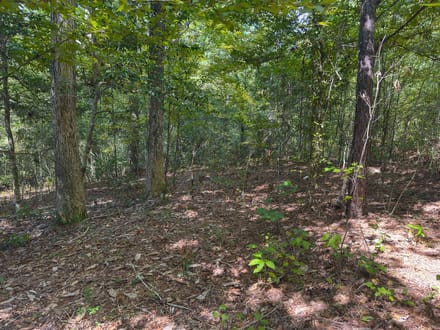1.63 Acres | Love Drive