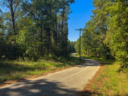 1.63 Acres | Love Drive