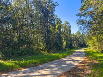 1.63 Acres | Love Drive