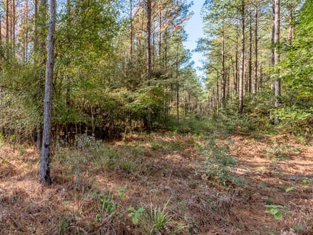 7 Acres | Queen Anne Way | Ranches at Royal Pines