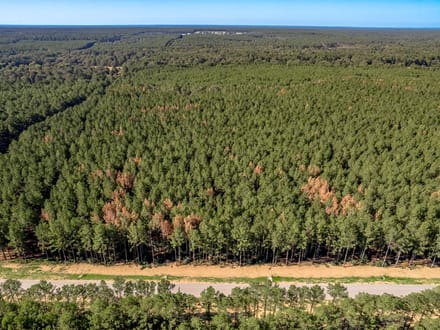 7 Acres | Queen Anne Way | Ranches at Royal Pines