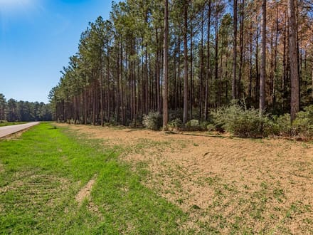 7 Acres | Queen Anne Way | Ranches at Royal Pines