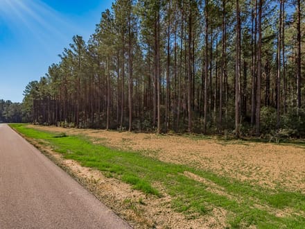 7 Acres | Queen Anne Way | Ranches at Royal Pines