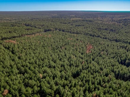 7 Acres | Queen Anne Way | Ranches at Royal Pines