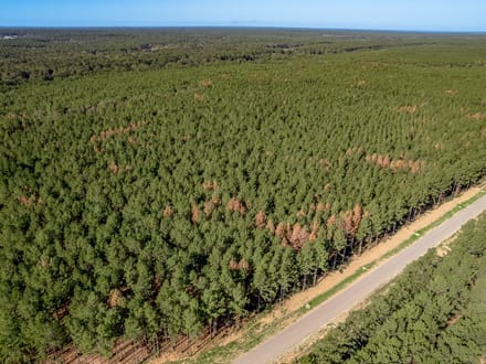 7 Acres | Queen Anne Way | Ranches at Royal Pines