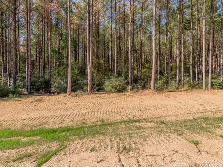 7 Acres | Queen Anne Way | Ranches at Royal Pines