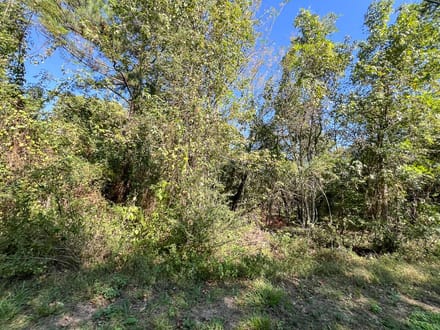 2.5 Acres | Peach Street | Conroe, Montgomery County, Texas