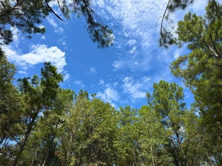 11 Acres | Frank Cloud Road