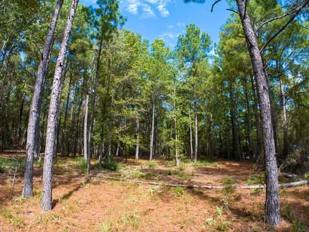 11 Acres | Frank Cloud Road