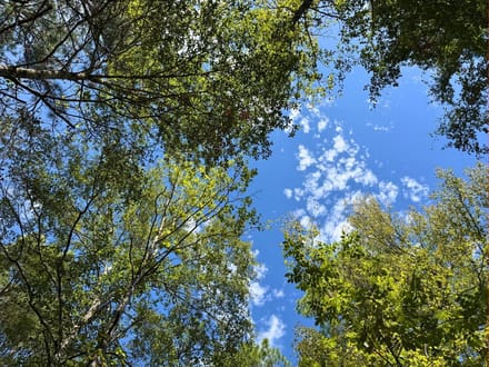 11 Acres | Frank Cloud Road
