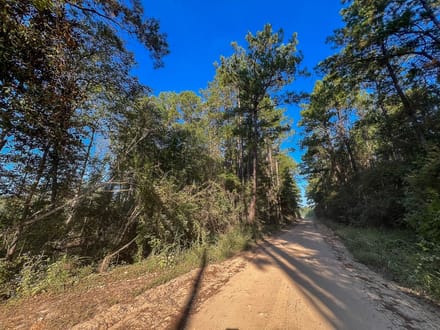 17 Acres | Dillon Road | 287033