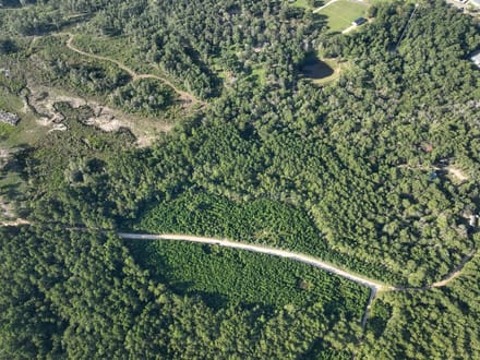 17 Acres | Dillon Road | 287033