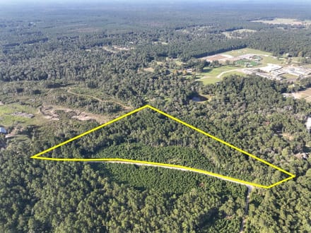 17 Acres | Dillon Road | 287033