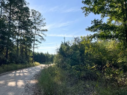 17 Acres | Dillon Road | 287033