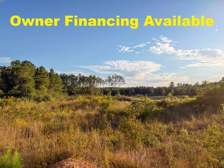 4.3 Acres | FM 2827