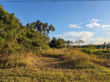 4.3 Acres | FM 2827