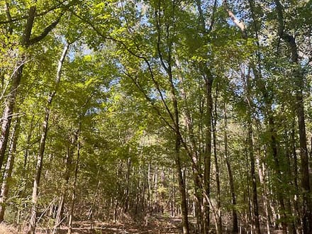 112 Acres | Midway Loop E