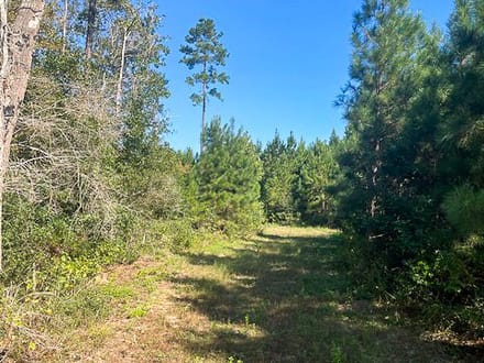 112 Acres | Midway Loop E