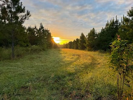 112 Acres | Midway Loop E