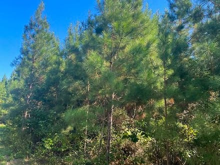 112 Acres | Midway Loop E