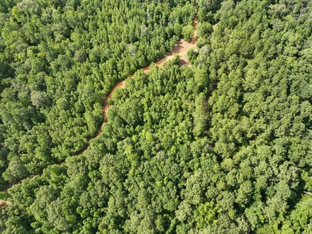 62 Acres | County Road 2065