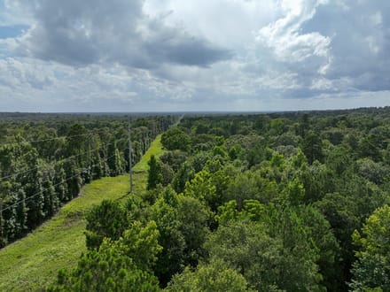 62 Acres | County Road 2065