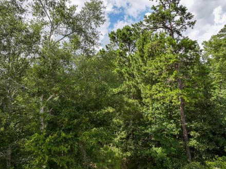 62 Acres | County Road 2065