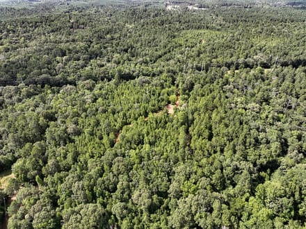 62 Acres | County Road 2065