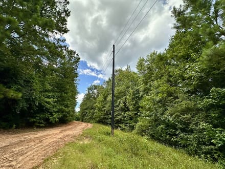 62 Acres | County Road 2065