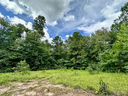 62 Acres | County Road 2065