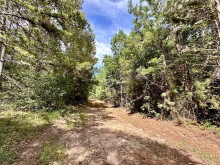 62 Acres | County Road 2065