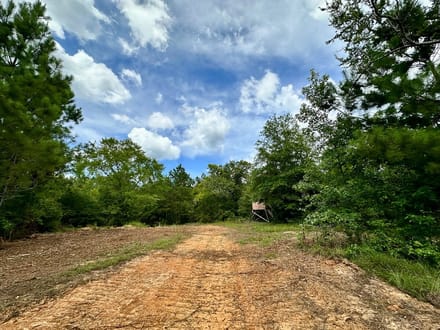 62 Acres | County Road 2065