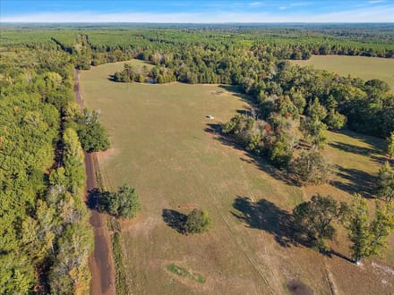 31 Acres | County Road 1601