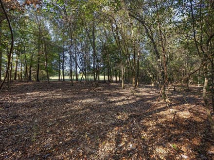 31 Acres | County Road 1601