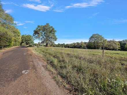 31 Acres | County Road 1601