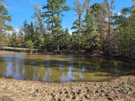 31 Acres | County Road 1601