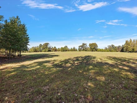 31 Acres | County Road 1601
