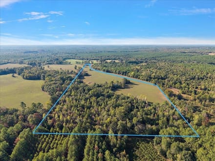 31 Acres | County Road 1601