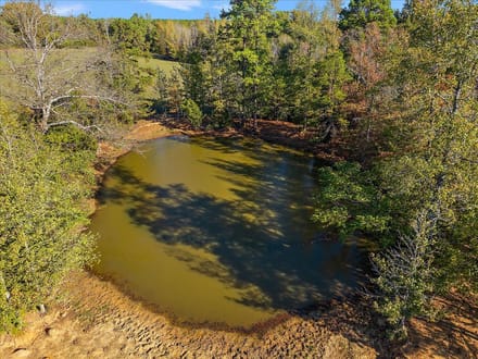 31 Acres | County Road 1601