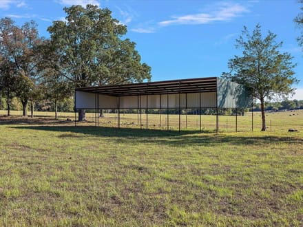 31 Acres | County Road 1601