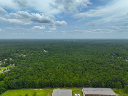 36 Acres | Pine Tree Lane