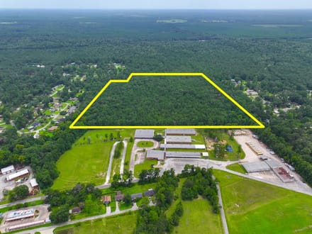 36 Acres | Pine Tree Lane