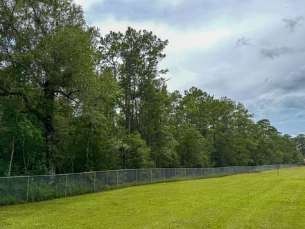 36 Acres | Pine Tree Lane
