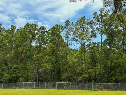 36 Acres | Pine Tree Lane