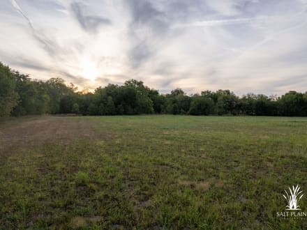38+/- acres on Hwy 51