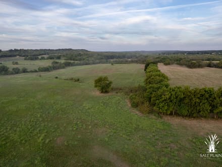 38+/- acres on Hwy 51