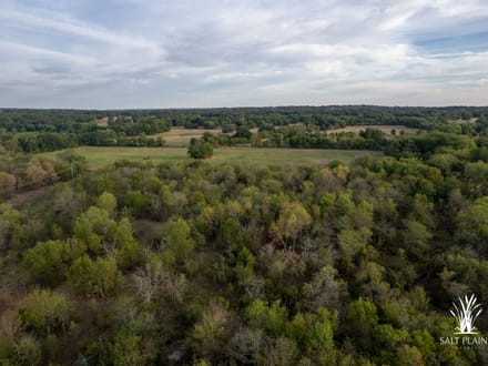 38+/- acres on Hwy 51