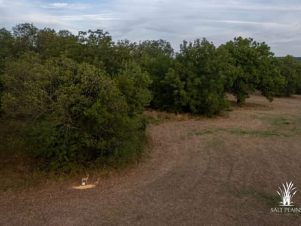 38+/- acres on Hwy 51